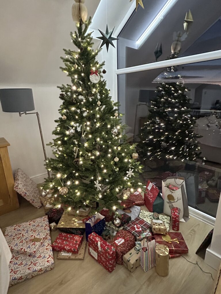 2 Kippford Slipway Christmas tree